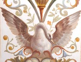 swan, Cygnus (species unidentified)