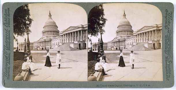 United States Capitol, Washington, D.C., U.S.A. (Acc. No. 38.00703.001)