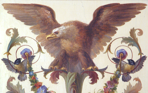 Eagle, (species unidentified)