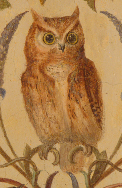 Eastern Screech Owl. Eastern Screech-Owl