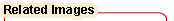 Related Images