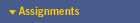 Committee Assignments of the 113th Congress