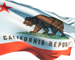 flag