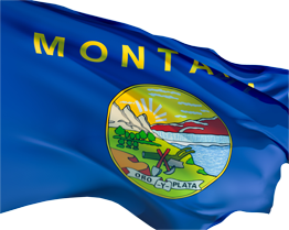 flag