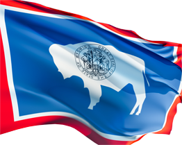 flag