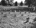 Arlington National Cemetery