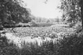 Kenilworth Aquatic Gardens