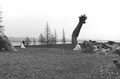 The Awakening - Hains Point, East Potomac Park