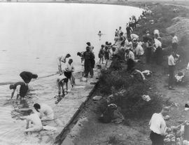 Veterans Bathing in the Tidal Basin in Washington, D.C., June 1932