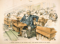 A Shining Exception to the General Rule.&mdash;One Senator Elected on His Merits.