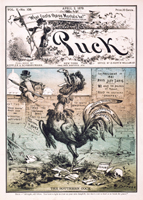 The Southern Cock.
