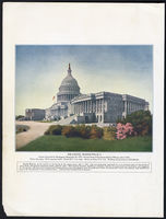 The Capitol, Washington, D.C. (Acc. No. 38.00847.001)