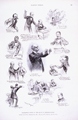 Washington—Scenes in the House of Representatives. (Acc. No. 38.00232.001)