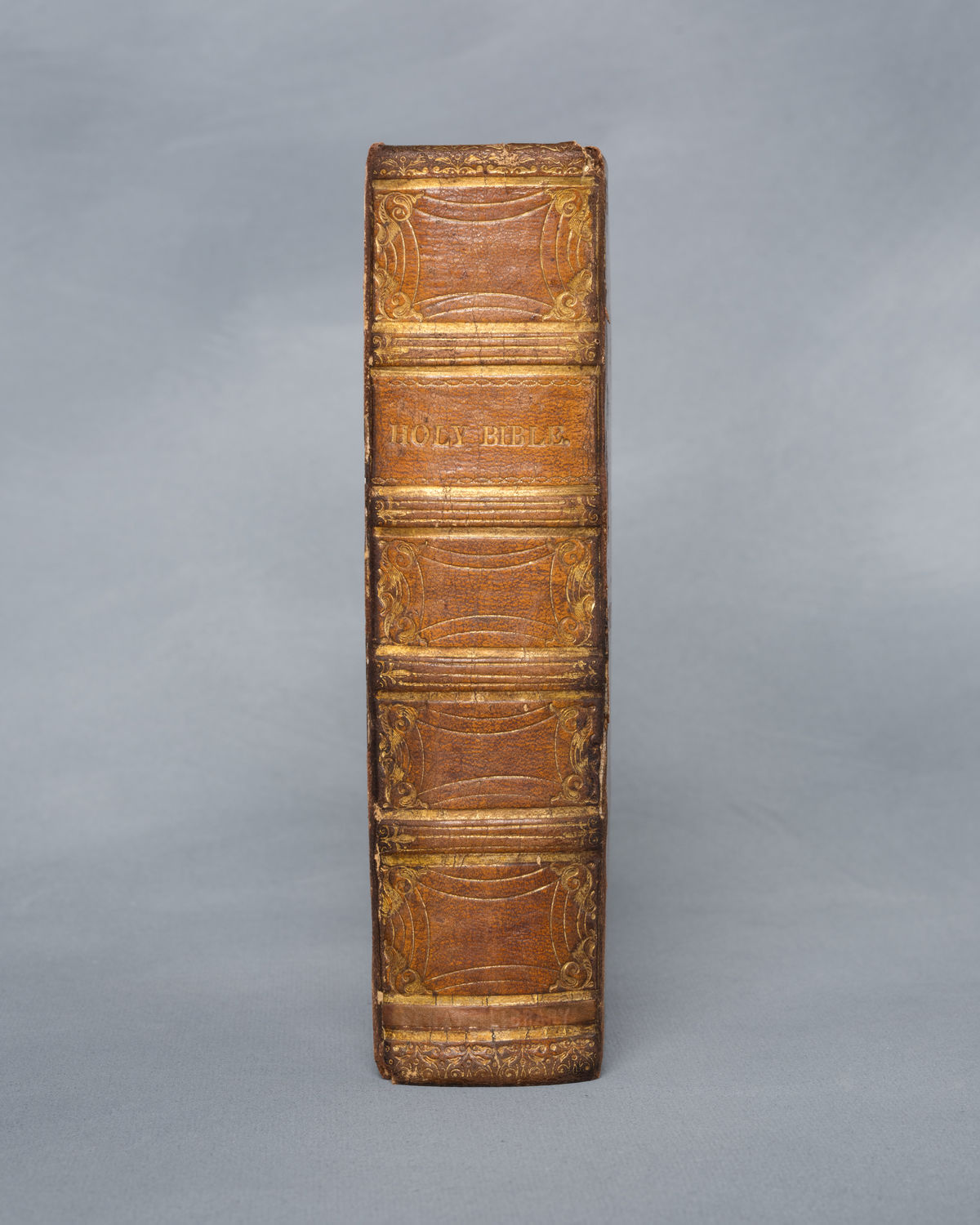 The Holy Bible, containing the Old and New testament. Translated out of the original tongues; and with the former translations diligently compared and revised, to his Majesty's special command. Appointed to be read in churches. (Acc. No. 14.00055.001)