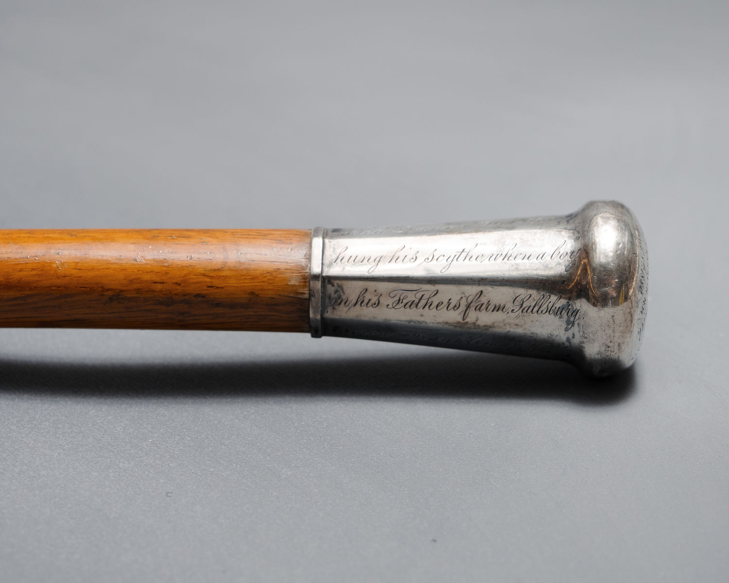 Walking Stick (cane) (Acc. No. 79.00008.001)