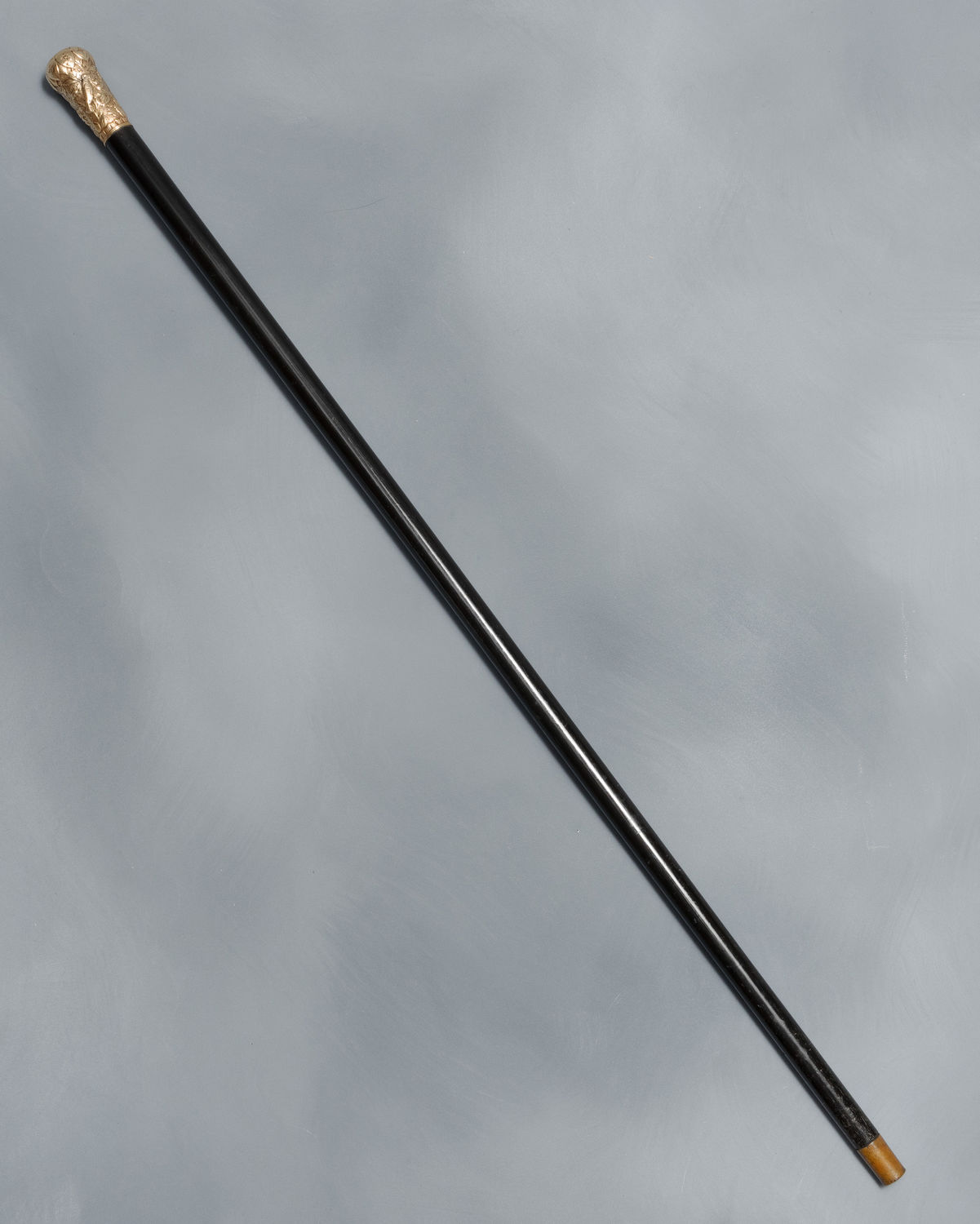 Walking Stick (cane) (Acc. No. 79.00029.000)