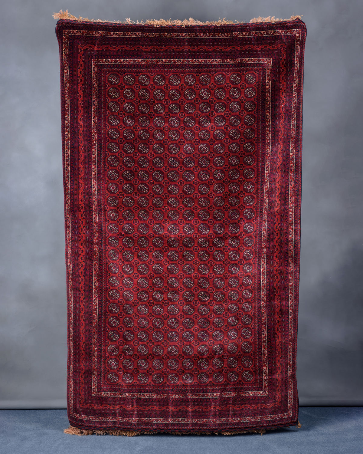 Afghan Rug (Acc. No. 81.00015.000)