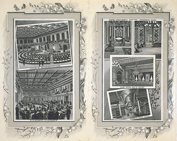 [U.S. Capitol and Other Government Building Interiors] (Acc. No. 38.00694.001)