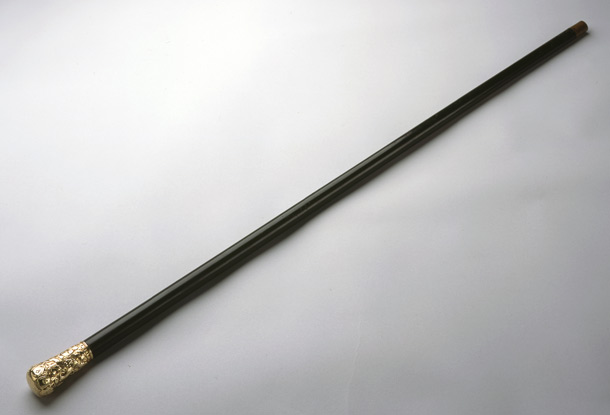 Walking Stick (cane) (Acc. No. 79.00029.000)