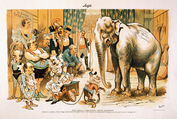 The Unruly Democratic White Elephant.