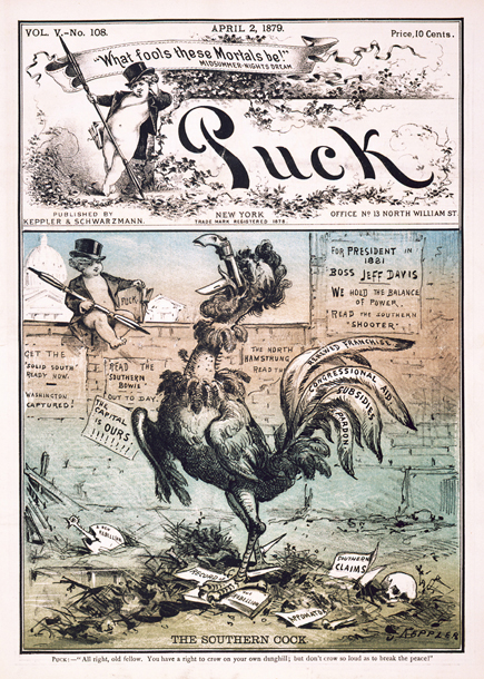 The Southern Cock. (Acc. No. 38.00517.001)