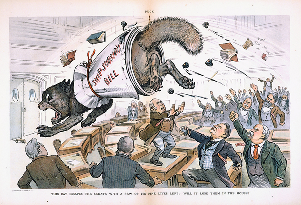 This Cat Escapes the Senate with a Few of Its Nine Lives Left; —Will It Lose Them in the House? (Acc. No. 38.00602.001)