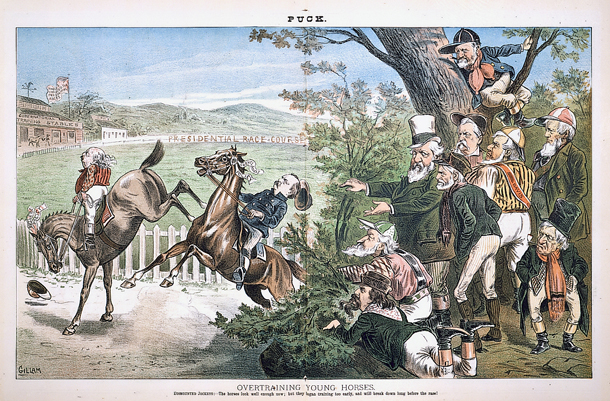 Overtraining Young Horses. (Acc. No. 38.00672.001)