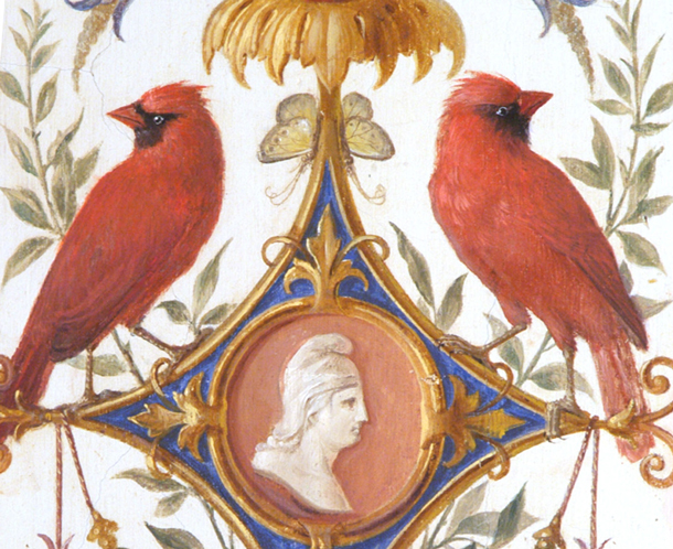 Northern Cardinal, Cardinalis cardinalis