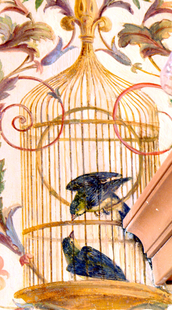 Eurasian Siskin, Carduelis spinus