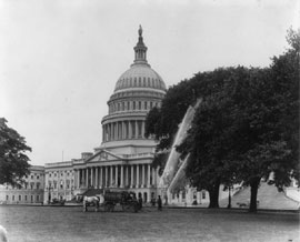 Spraying trees on the Capitol grounds