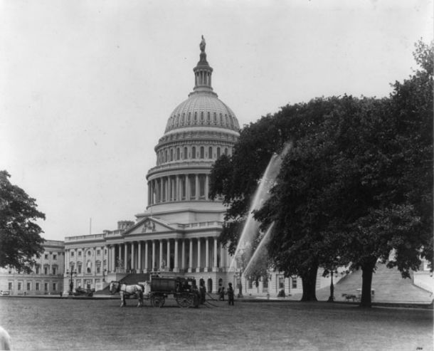 Spraying trees on the Capitol grounds