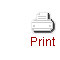 Print Icon