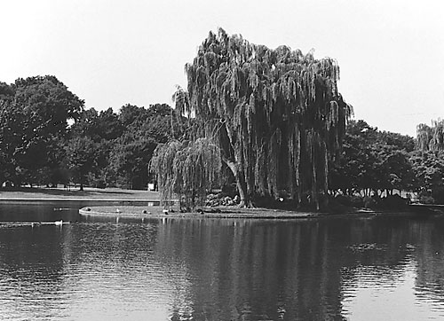Constitution Gardens