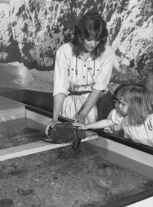 National Aquarium - Washington, DC